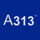 A313